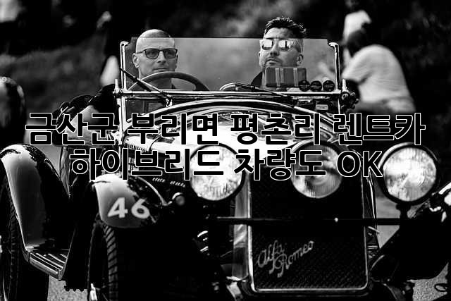 금산군 부리면 평촌리 렌트카: 하이브리드 차량도 OK!