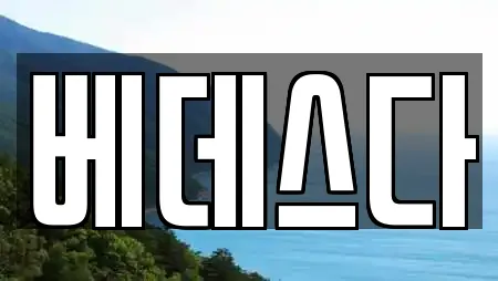 에스테틱 전문 업체 TOP 13곳 (경기도 이천 사음동)