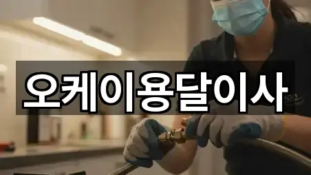 오케이용달이사