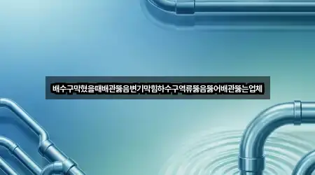 배수구막혔을때배관뚫음변기막힘하수구역류뚫음뚫어배관뚫는업체