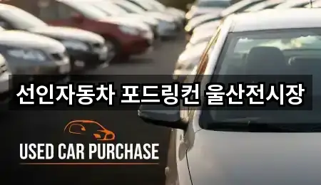 선인자동차 포드링컨 울산전시장