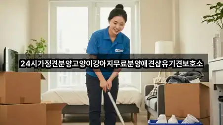 24시가정견분양고양이강아지무료분양애견샵유기견보호소