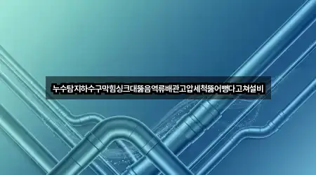 누수탐지하수구막힘싱크대뚫음역류배관고압세척뚫어뻥다고쳐설비