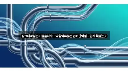 싱크대막힘변기뚫음하수구막힘역류뚫은법배관막힘고압세척뚫는곳