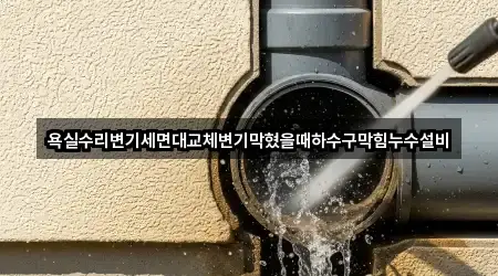 욕실수리변기세면대교체변기막혔을때하수구막힘누수설비