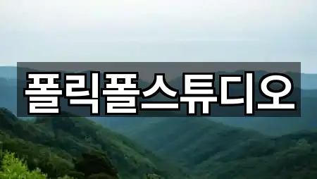 폴릭폴스튜디오