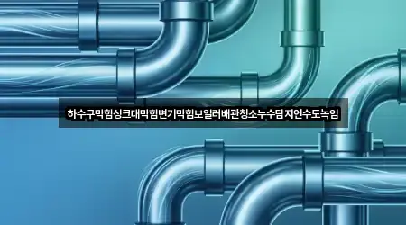 하수구막힘싱크대막힘변기막힘보일러배관청소누수탐지언수도녹임