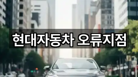 현대자동차 오류지점