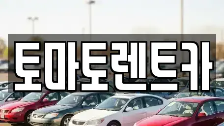 경기 동두천시 걸산동 렌트카 전문 토마토렌트카