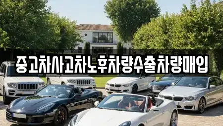 경기 동두천시 걸산동 중고차매입 전문 중고차사고차노후차량수출차량매입