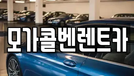 경기 이천시 설성면 렌트카 전문 모가콜벤렌트카