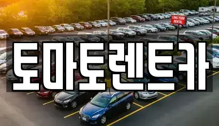경기도 동두천시 걸산동 렌트카 전문 토마토렌트카