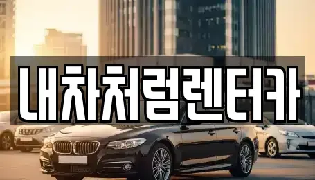 대구 서구 상리동 렌트카 전문 내차처럼렌터카