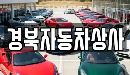 대구 서구 상리동 중고차 전문 경북자동차상사