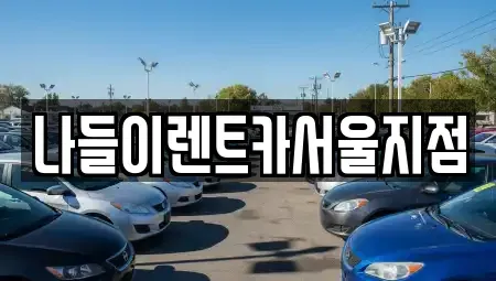 서울특별시 강남구 수서동 렌트카 전문 나들이렌트카서울지점