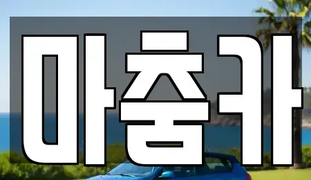 서울특별시 강남구 수서동 장기렌트카 전문 마춤카