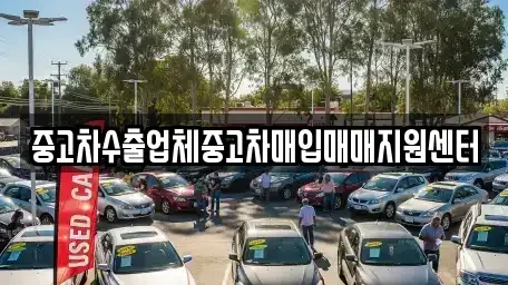 서울특별시 강남구 수서동 중고차매입 전문 중고차수출업체중고차매입매매지원센터