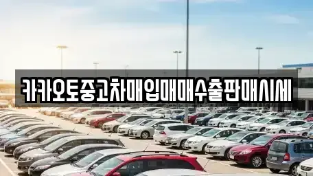 서울특별시 강남구 수서동 중고차매입 전문 카카오토중고차매입매매수출판매시세