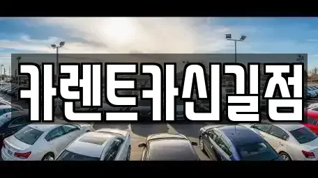 서울특별시 동작구 상도1동 렌트카 전문 카렌트카신길점
