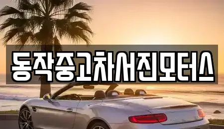 서울특별시 동작구 상도1동 중고차 전문 동작중고차서진모터스