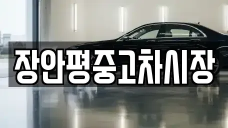 서울특별시 동작구 상도1동 중고차 전문 장안평중고차시장