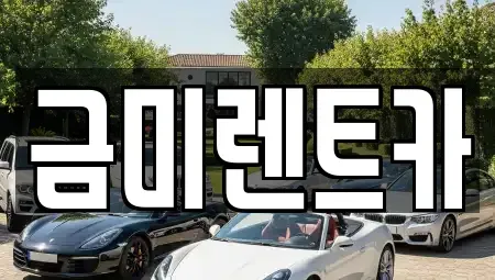 서울특별시 종로구 적선동 렌트카 전문 금미렌트카