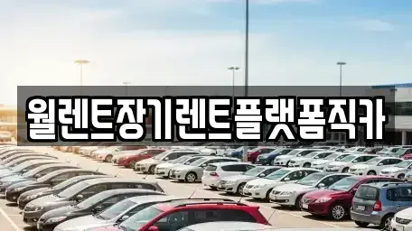서울특별시 종로구 적선동 장기렌트카 전문 월렌트장기렌트플랫폼직카