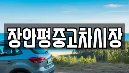 서울특별시 종로구 적선동 중고차매매 전문 장안평중고차시장