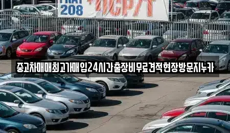 서울특별시 종로구 적선동 중고차매매 전문 중고차매매최고가매입24시간출장비무료견적현장방문지누카