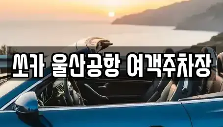 울산광역시 북구 시례동 렌트카 전문 쏘카 울산공항 여객주차장