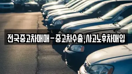 전라남도 목포시 축복동1가 중고차 전문 전국중고차매매-중고차수출,사고노후차매입